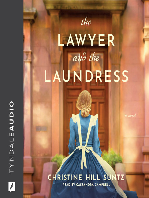 Title details for The Lawyer and the Laundress by Christine Hill Suntz - Available